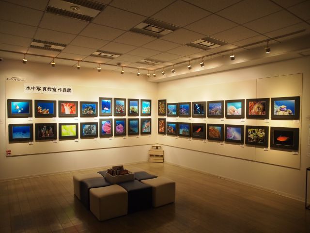 4月27日から5月10日　オリンパス水中写真教室作品展