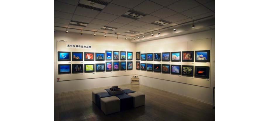 5月17日（金）～5月23日（木）オリンパス水中写真教室　作品展