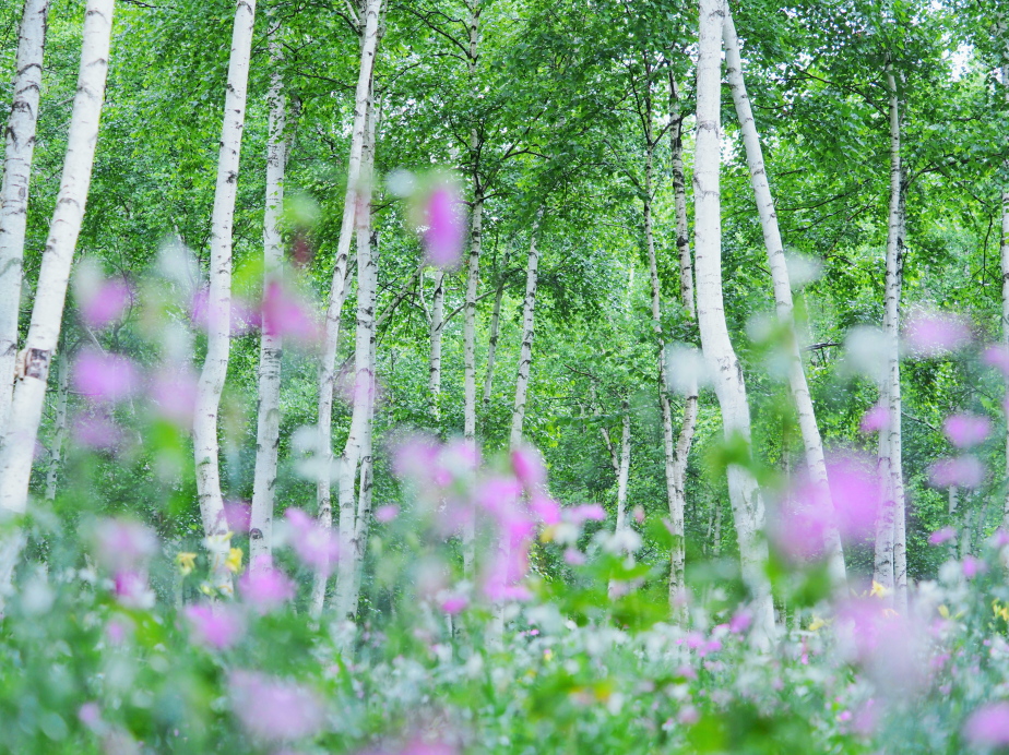 9月20日(金)～9月25日（水）第4回FOCUS展　山田陽子写真展「ワタシイロ」