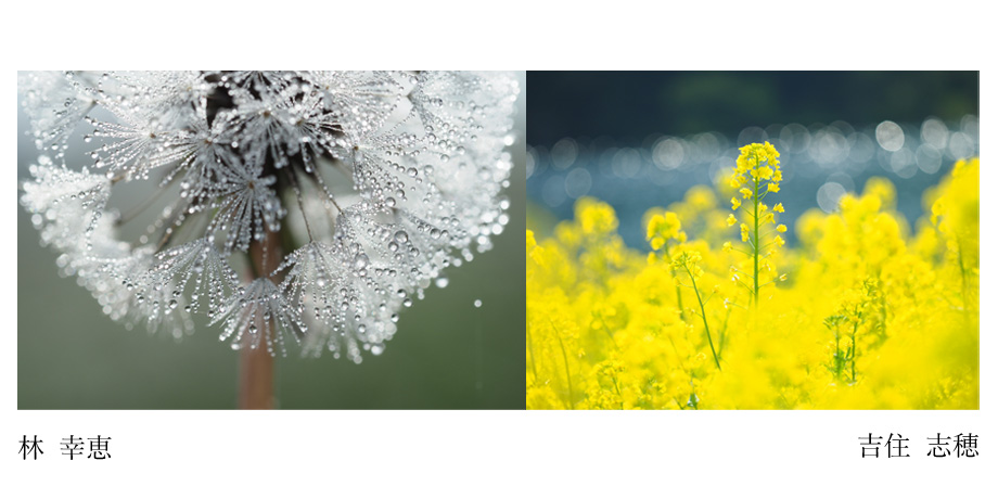 2021年4月1日~4月12日　Nature Colors 林幸恵×吉住志穂