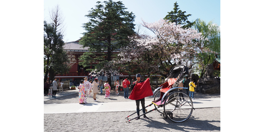 2021年7月1日～ 7月12日　第39回オリンパスズイコークラブ東京支部写真展  「ウェルカム 東京」－新しい瞬間(とき)を迎えて