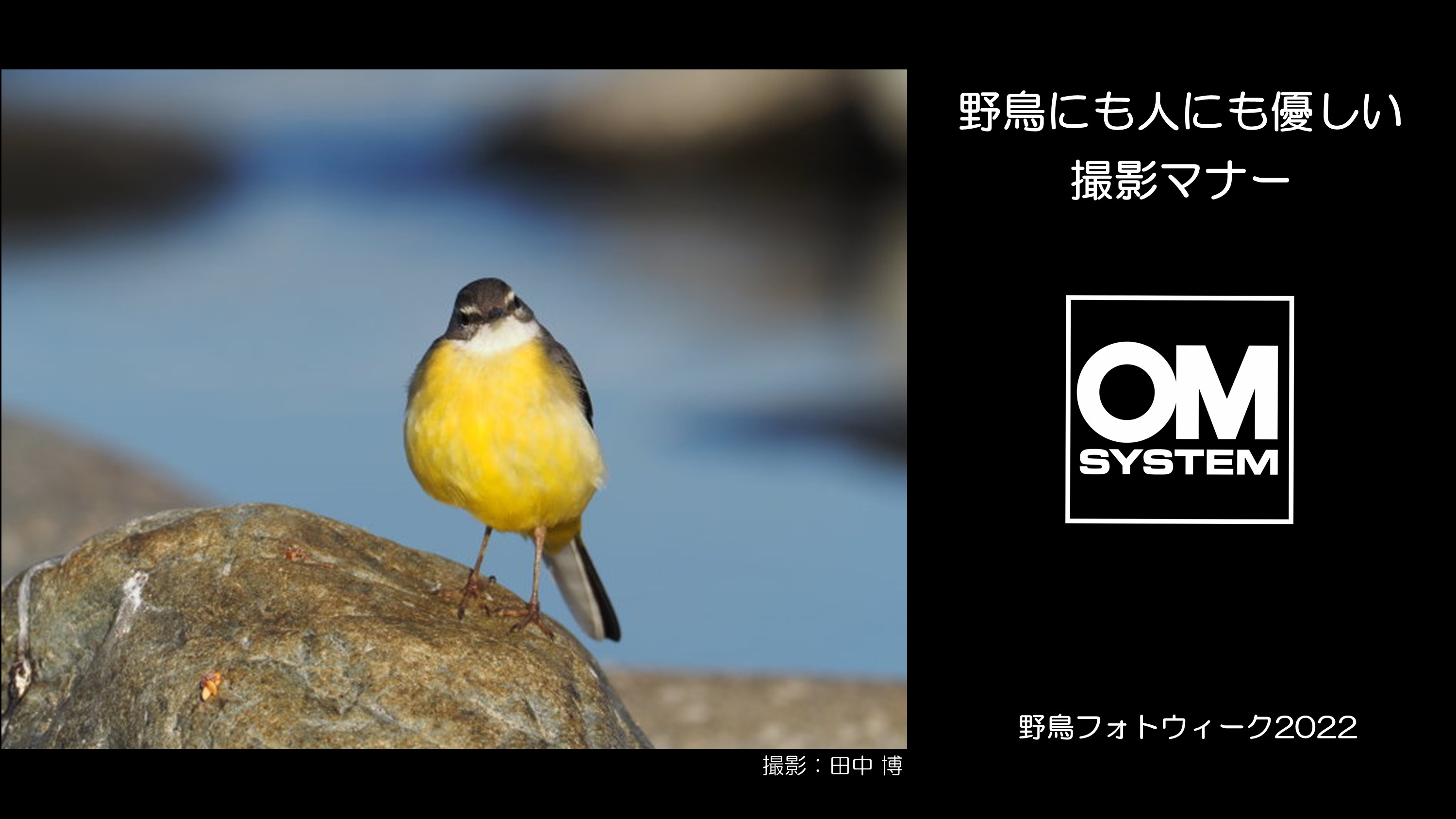 2022年2月3日~2月14日　野鳥にも人にも優しい、撮影マナー