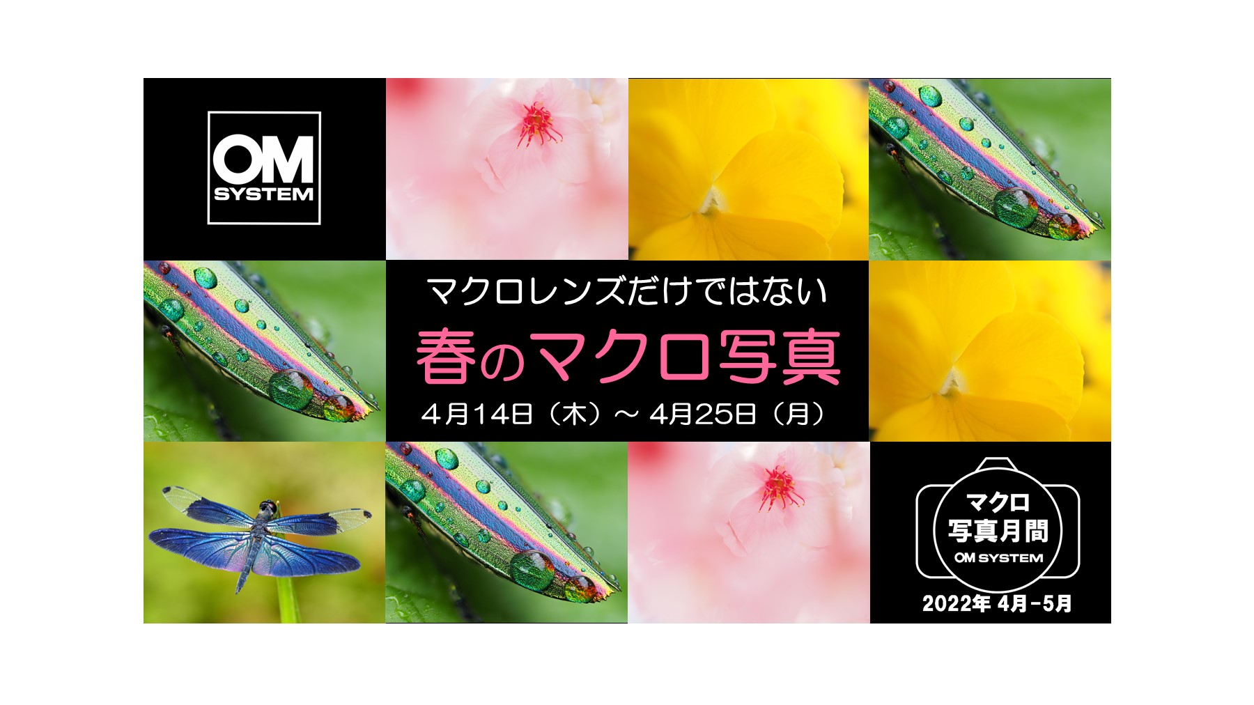 2022年4月14日~4月25日 マクロレンズだけではない「春のマクロ写真展」