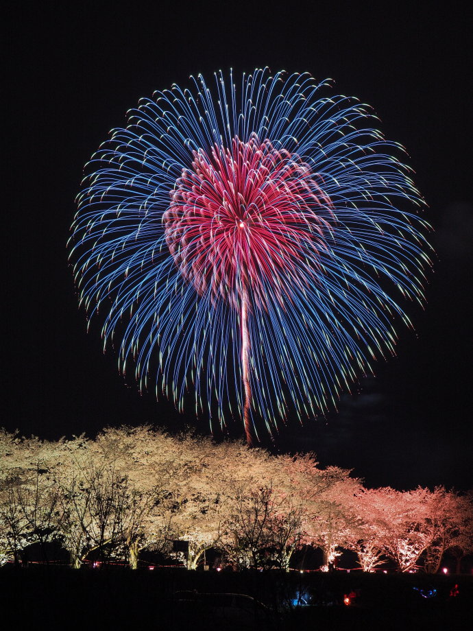 【オリンパスギャラリー東京】2017年6月2日～6月7日　金武 武 写真展　「花火と華火」