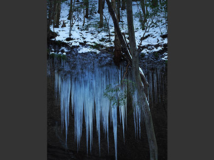 OM-D E-M1 Mark II M.ZUIKO DIGITAL ED 12-40mm F2.8 PRO F8.0 1/30秒 ±0.0EV ISO200 *ハイレゾショット ｜ 撮影地：愛媛県東温市滑川渓谷