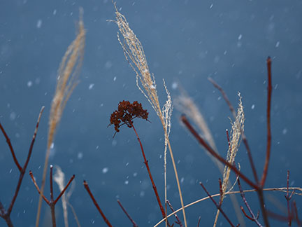 OM-D E-M1 Mark II M.ZUIKO DIGITAL ED 40-150mm F2.8 PRO F2.8 1/160秒 +0.3EV ISO320 ｜ 撮影地：栃木県日光市 湯ノ湖