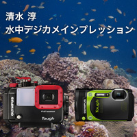 清水淳様オーダー 清水 淳 水中カメラインプレッション｜海・ダイビングなどの水中写真
