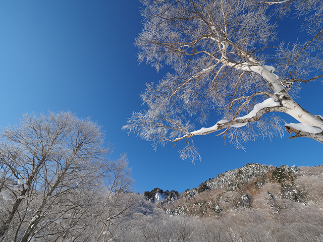 写真家萩原史郎がM.ZUIKO DIGITAL ED 7-14mm F2.8 PROで撮影した樹氷の風景写真