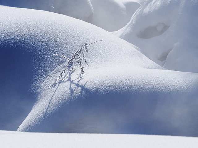 写真家萩原史郎がM.ZUIKO DIGITAL ED 40-150mm F2.8 PROで撮影した雪景色