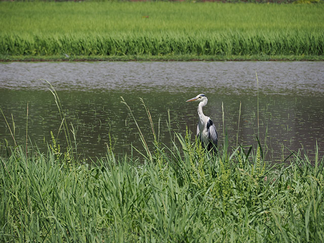 写真家 斎藤巧一郎がM.ZUIKO DIGITAL ED 12-200mm F3.5-6.3で撮影した旅の写真