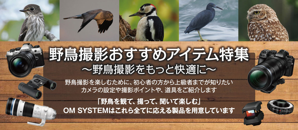 野鳥撮影おすすめアイテム特集