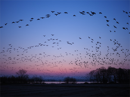 OM-D E-M1 Mark II M.ZUIKO DIGITAL ED 17mm F1.2 PRO F1.2 1/250秒 ISO200 ｜ マガン（北海道）